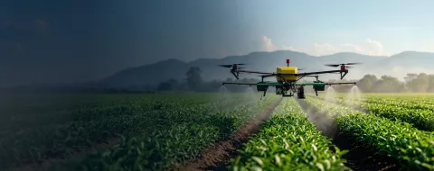A farm drone sprays medicine on farmland