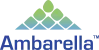 Ambarella logo